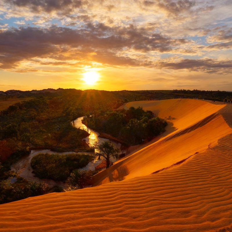 freepik__recrie-a-imagem-img1dunas-do-jalapo__99245